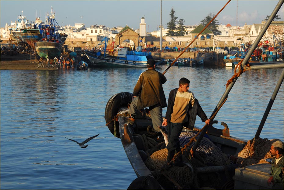 Puerto de Essaouira, Marruecos© Felix Grande Bagazgoitia