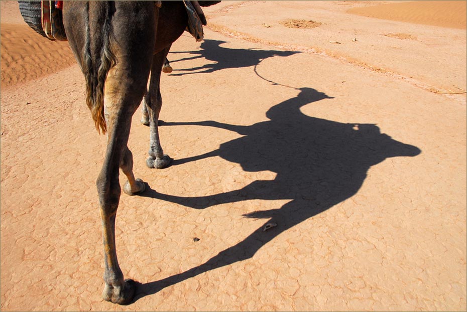 Dunas de Chigaga. Marruecos© Felix Grande Bagazgoitia