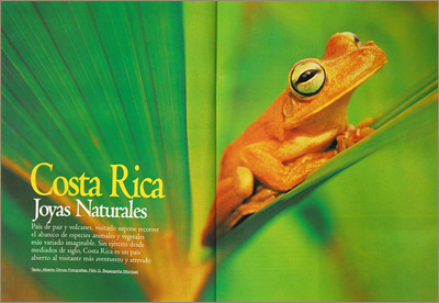 Revista "Paraisos"