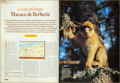 Revista "Biológica"